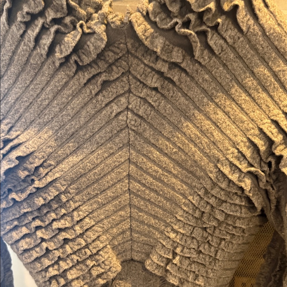 Alaia Gray Ruffled Women's Bolero (S) and Skirt (XS) - Picture 11 of 15